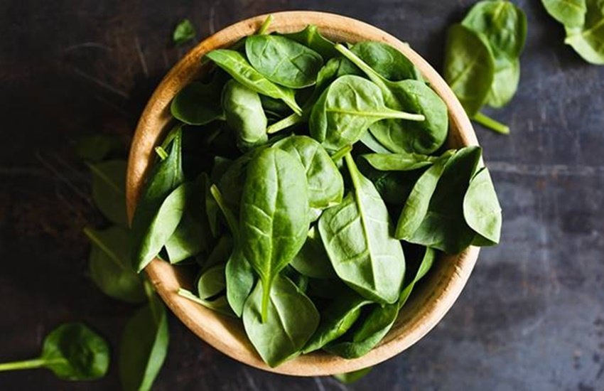 spinach, Vegetable, spinach benifits, benefits of spinach, Beneficial Spinach for Pregnant Women, benefits of spinach in hindi, Diseases away from spinach, six benefits of spinsch, health news, health news in hindi, jansatta