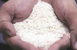 कहीं आप भी तो नहीं खा रहे हैं प्लास्टिक के चावल, इन पांच तरीकों से करें जांच