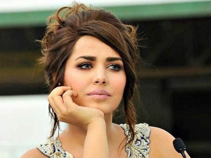 Ayyan Ali, customs, money laundering, money laundering case