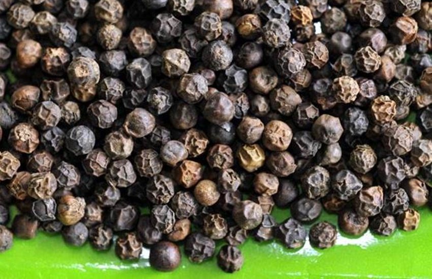 pepper, black pepper, spices, health benefits, Benefits of black pepper, black pepper for skin, Kali Mirch benefits, Best Benefits of black pepper, health tips, how to use of black pepper, black pepper use, jansatta