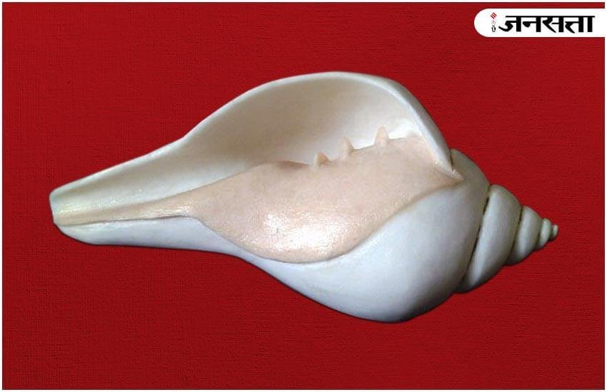conch, conch use, conch at home, importance of conch, शंख का इस्तेमाल, शंख का महत्व, types of couch, shankh use