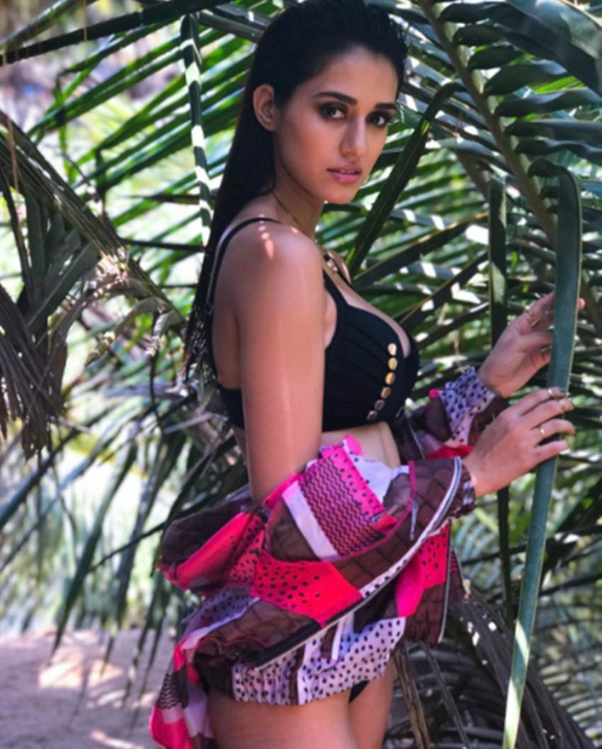 Disha Patani faux pas, Disha Patani fashion blunder, Disha Patani hot pics, Disha Patani stylish pictures, Disha Patani instagram, Disha Patani photos, Disha Patani sexy photos