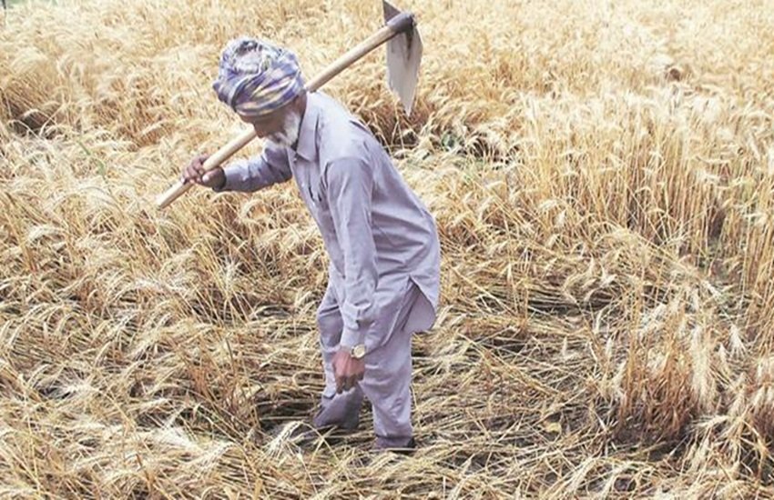 farmer