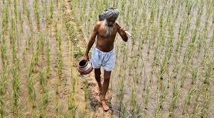 22 लाख किसानों को मिलेगी राहत, कर्नाटक सरकार ने माफ किया 50,000 रुपए तक का फसल कर्जा