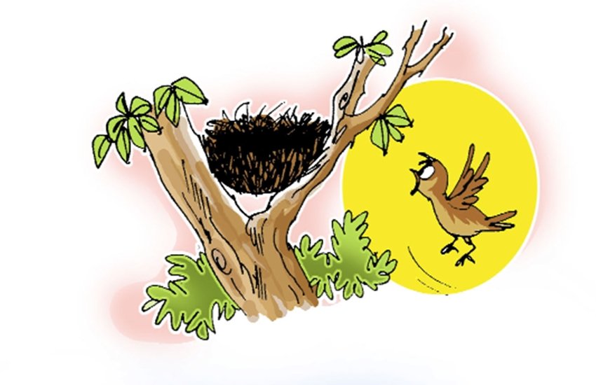 प्रतीकात्मक चित्र। प्रतीकात्मक चित्र।