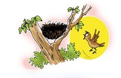 गीत- चहक महक, तिनका तिनका