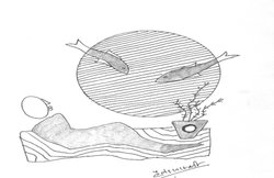 पर्यावरण- धरती की चेतावनी को समझें