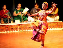 वरिष्ठ-युवा कलाकारों ने समां बांधा