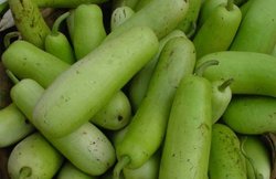 पसंद न हो तो भी करना चाहिए लौकी का सेवन, एक सब्‍जी के इतने फायदे शायद ही कभी सुने हों