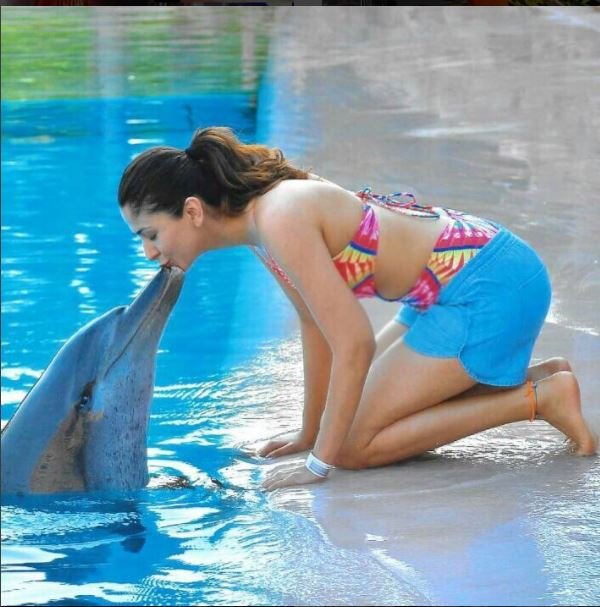 Entertainment, Tollywood, malvika raaj, ghanta ravi, jayanth c. paranjee, malvika raaj Hot Photos, malvika raaj latest Photos