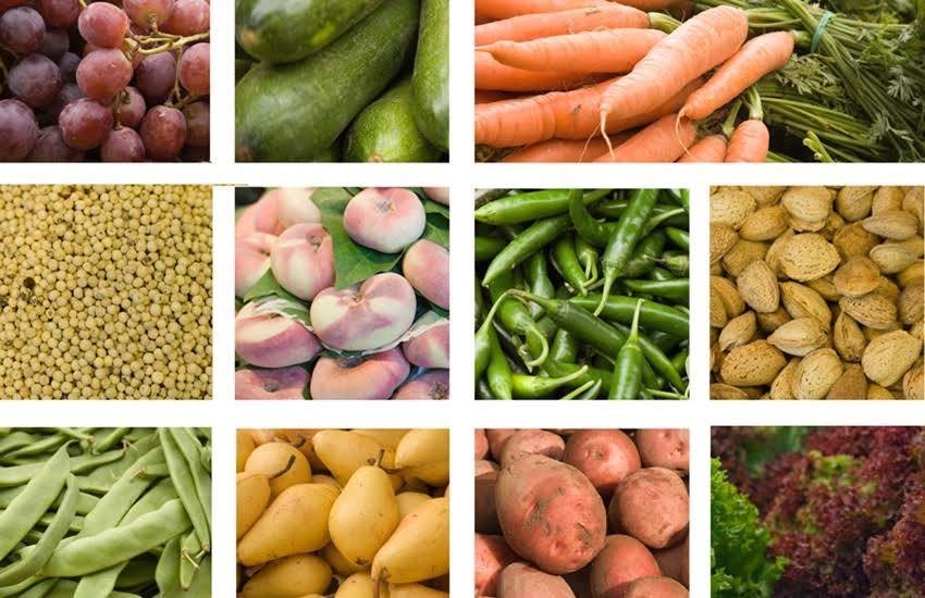 इनका सेवन करके शाकाहारी लोग भी उचित मात्रा में प्रोटीन प्राप्त कर सकते हैं। इनका सेवन करके शाकाहारी लोग भी उचित मात्रा में प्रोटीन प्राप्त कर सकते हैं।