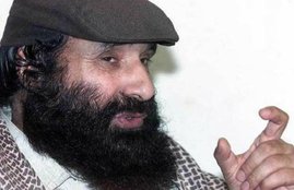 hizbul mujahideen, syed salahuddin, Freedom Fighter