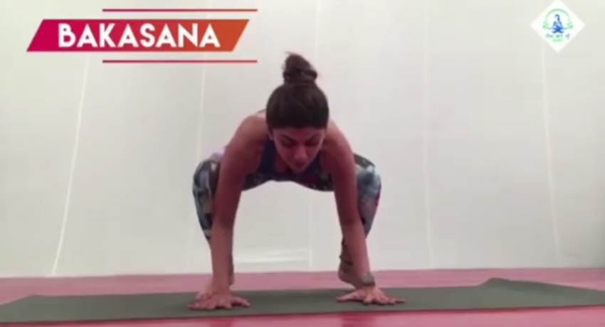"international yoga day, shilpa shetty, shilpa shetty international yoga day, shilpa shetty instagram, shilpa shetty yoga, shilpa shetty yoga dvd, shilpa shetty fitness channel, shilpa shetty yoga videos,