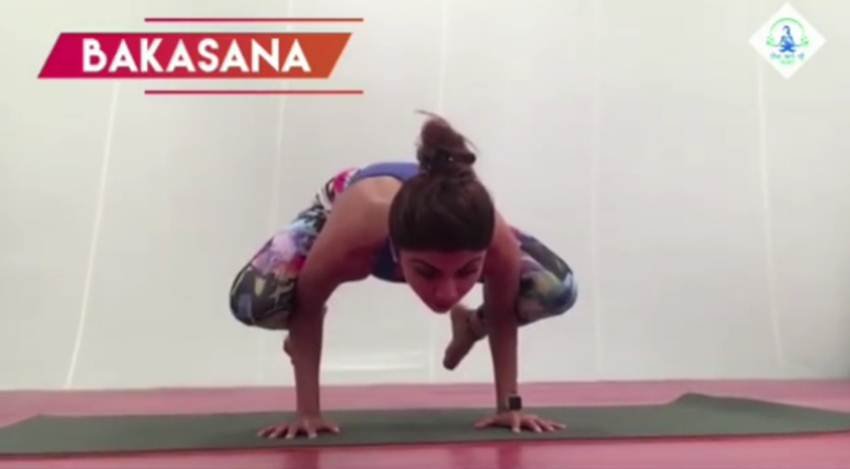 "international yoga day, shilpa shetty, shilpa shetty international yoga day, shilpa shetty instagram, shilpa shetty yoga, shilpa shetty yoga dvd, shilpa shetty fitness channel, shilpa shetty yoga videos,