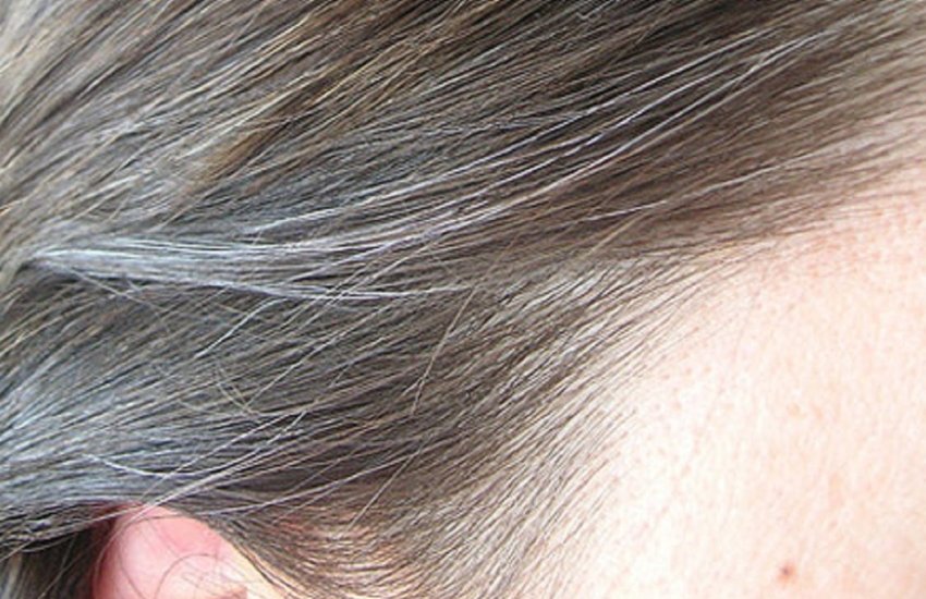Black Hair, White Hair Problems, How To Treat White Hair Problems, White Hair Problems Remedies, Home Remedies For White Hair Problem, Natural Remedies For White Hair Problem, Natural Remedies For White Hair Problem In Hindi, Hair Beauty Tips, Beauty Tips In Hindi, Health And Lifestyle News In Hindi, Jansatta