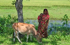 woman, village, village woman, rural woman, rural india