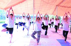 योग दिवस से पहले आयुष मंत्रायल ने जारी की कॉमन योगा प्रोटोकॉल, जानिए मुख्य बातें