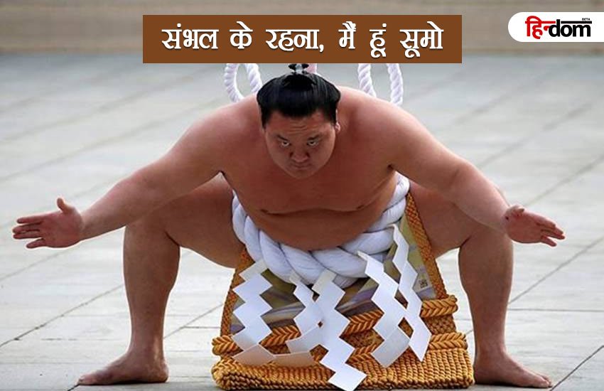 छुटपन से ही सूमो को सिखाया जाता है स्टारडम, दिन में लेते हैं 10 हजार कैलोरी