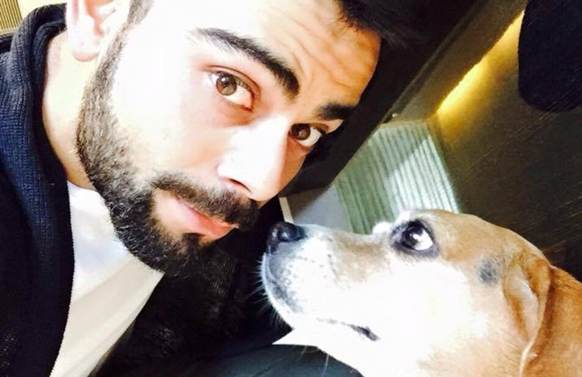 भारतीय टीम के कप्तान विराट कोहली। 