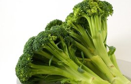 Broccoli, Green Vegetables Broccoli, Benefits Of Broccoli, Healthy Vegetables, Boiled Broccoli, Broccoli As Salad, Benefits Of Broccoli In VArious Diseases, Healthy diet Tips, Health Tips In Hindi, Lifestyle Tips In HIndi, LIfestyle News In Hindi, Jsnsatta