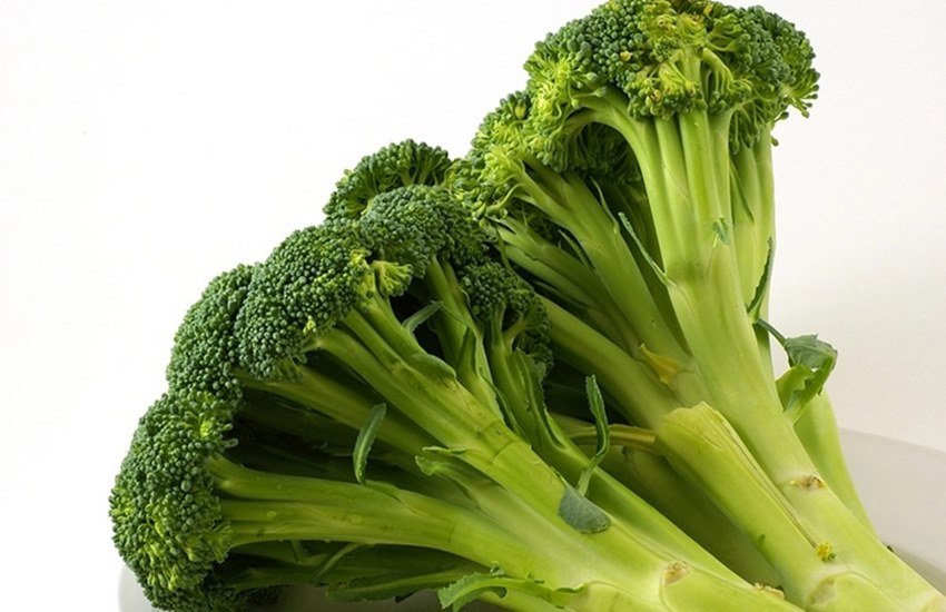 Broccoli, Green Vegetables Broccoli, Benefits Of Broccoli, Healthy Vegetables, Boiled Broccoli, Broccoli As Salad, Benefits Of Broccoli In VArious Diseases, Healthy diet Tips, Health Tips In Hindi, Lifestyle Tips In HIndi, LIfestyle News In Hindi, Jsnsatta