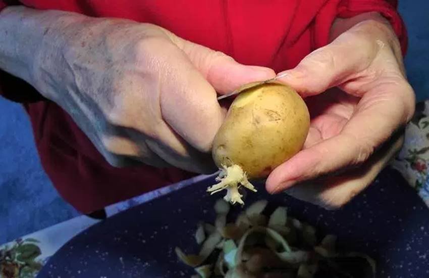Potato Peels, Potato Peels Advantages, Potato Peels Is Beneficial Vegetable, Potato Peels Uses, Potato Peels Benefits, Health Tips In Hindi, Lifestyle News In Hindi, Jansatta