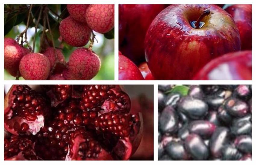 Mansoon Diets, Usefull Fruits Of Mansoon, Mansoon Deseases, Mansoon Diet Tips, Mansoon Health Tips, Apple, Pomegranate, Blackberry, Cherry, Litchy, Health Tips In Hindi, Lifestyle News In Hindi, Jansatta