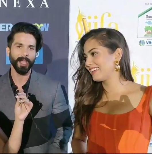 IIFA, IIFA 2017, IIFA Green Carpet, Shahid Kapoor and Mira Rajput, Shahid Kapoor and Mira Rajput IIFA, Shahid Kapoor and Mira Rajput pictures, Shahid Kapoor and Mira Rajput together, Shahid Kapoor and Mira Rajput relationship, bollywood news, bollywood gossip, movie reviews, showbiz news, hollywood news, bollywood, reviews, music, television, tv, tv news, bollywood photos, photo gallery, bollywood photo gallery, bollywood trending, bollywood trending news, latest bollywood news