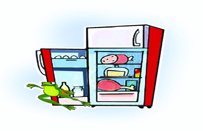 प्रतीकात्मक चित्र।