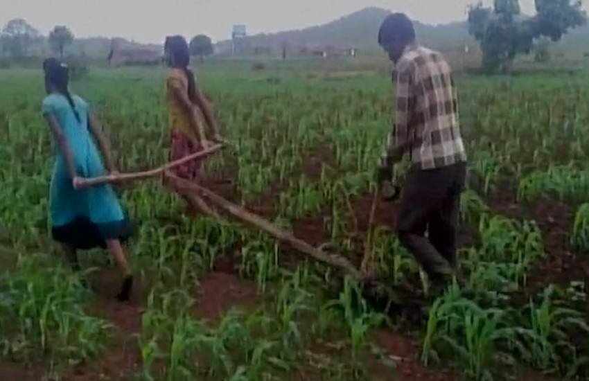 mp farmer