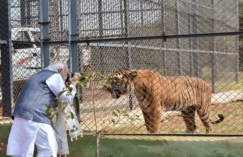 top politicians, top politicians in india, politicians and their hobbies, Hobbies of Politicians, politicians and hobbies, interesting hobbies of indian politicians, indian politicians hobbies, narendra modi, narendra modi hobbies, yogi aditya nath hobbies, mamta banerjee hobbies