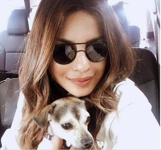 priyanka chopra, priyanka chopra couture week paris, priyanka chopra armani prive show, priyanka chopra in paris, priyanka chopra fashion show paris, pc in paris, peecee in paris, priyanka chopra updates, priyanka chopra news, priyanka chopra updates,