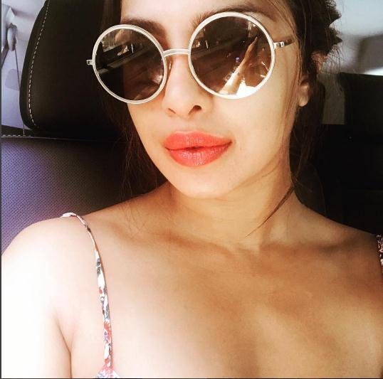 priyanka chopra, priyanka chopra birthday, priyanka chopra holiday, priyanka chopra hollywood project, priyanka chopra vacations, priyanka chopra pictures, priyanka chopra films, priyanka chopra marathi film, purple pebble pictures