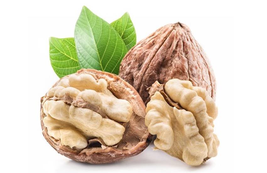 Wallnut, Wallnut Oil, Benefits Of Wallnut Oil, Health Tips In Hindi, Omega 3, Protein, Copper, Vitamins, Fungal Infection, Wrinkles, Asthma, Lifestyle Tips In Hindi, Beauty Tips In Hindi, Health News In Hindi, Jansatta Wallnut, Wallnut Oil, Benefits Of Wallnut Oil, Health Tips In Hindi, Omega 3, Protein, Copper, Vitamins, Fungal Infection, Wrinkles, Asthma, Lifestyle Tips In Hindi, Beauty Tips In Hindi, Health News In Hindi, Jansatta