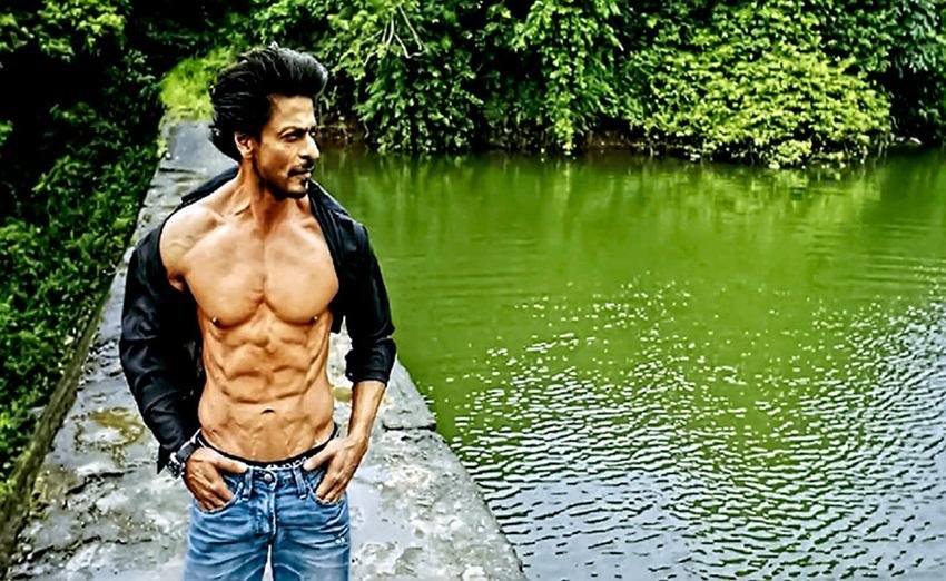 Shahrukh Khan Six Pack Abs, Bollywood Actors Six Pack Abs, Bollywood Actors with Six Pack Abs, Six Pack Abs Bollywood Actors, Actors Six Pack Abs, Bollywood Actors Six Pack Abs Pics, Bollywood Actors Six Pack Abs Photos, Bollywood Actors in Six Pack Abs, Actors in Six Pack Abs, Photo Gallery, Jansatta