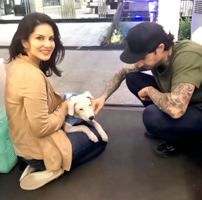 Sunny Leone, Sunny Leone with her dogy, Sunny Leone Personal Pics, Sunny Leone with her Husband, Sunny Leone Husband Pic, Sunny Leone Brother Pic, Sunny Leone Brother Marriage Pic, Sunny Leone HD Pics, Sunny Leone with Daniel Weber, Sunny Leone and Daniel Weber, Photo Gallery, Jansatta