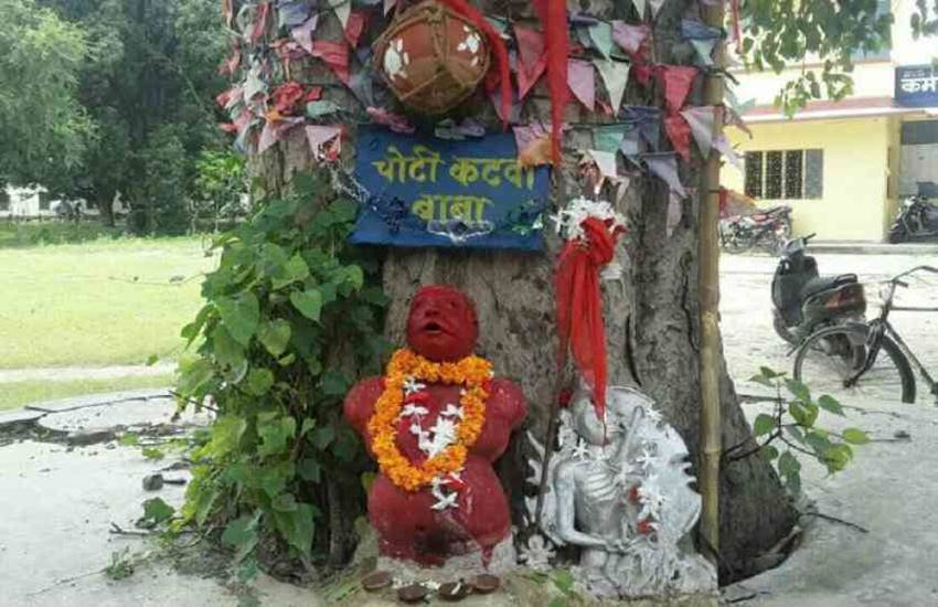 बीएचयू में पेड़ के नीचे लगी 'चोटी कटवा बाबा' की मूर्ति।