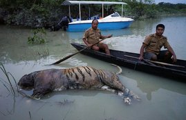 Flood of Assam, Flood of Kaziranga National Park