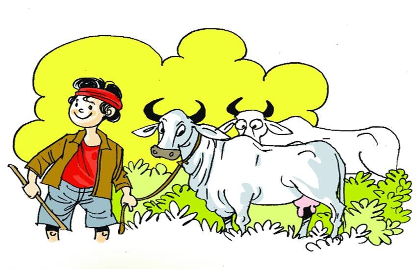 प्रतीकात्मक तस्वीर