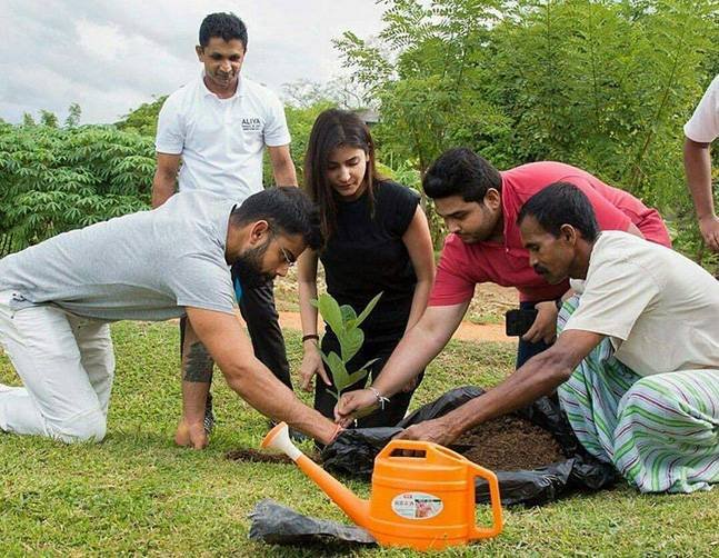 विराट कोहली के कोच ने एक बार कहा था कि जब भी वह घर आते हैं तो पैक्ड जूस नहीं पीते। फलों का ताजा रस ही पीते हैं, वरना कुछ नहीं खाते। उन्होंने यह भी बताया था कि वह सिर्फ ग्रिल्ड या उबला खाना ही खाते हैं। ब्लैक कॉफी पीते हैं, जिसमें शक्कर नहीं होती।