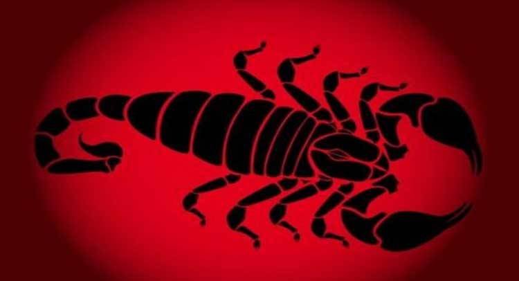 वृश्चिक- आज आप आलस्‍य बढ़ेगा। शैक्षिक एवं बौद्धिक कार्यों से धनार्जन हो सकता है। भवन सुख का विस्तार होगा।