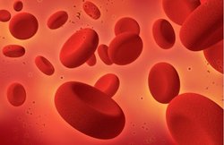 शरीर में दिखने वाले ये लक्षण हैं विटामिन K की कमी के संकेत