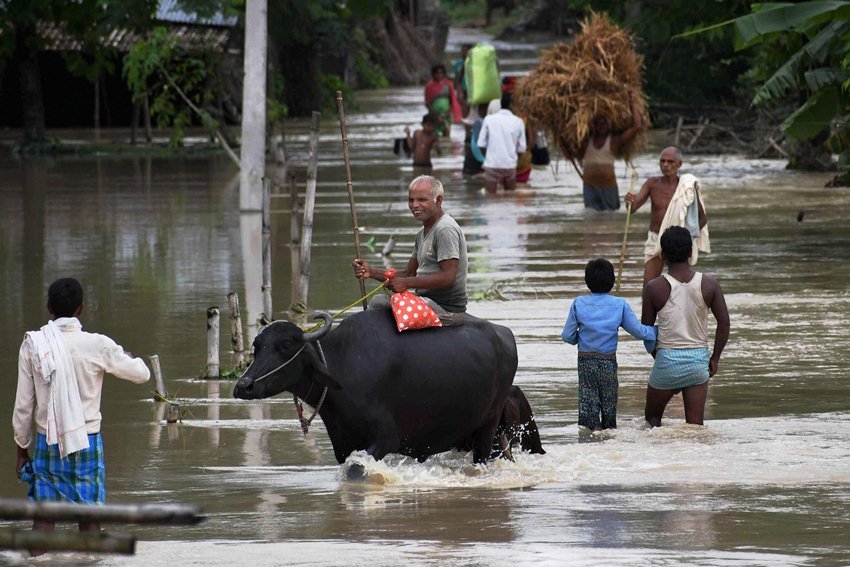 bihar floods, bihar flood, bihar flood deaths, bihar death toll, assam floods, floods in india, india floods, nitish kumar bihar floods