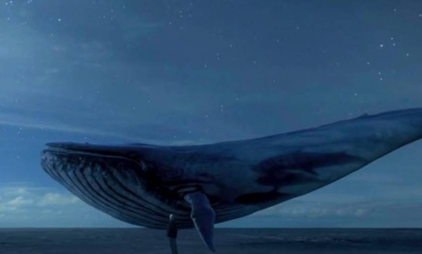 ‘ब्लू ह्वेल’ नामक आॅनलाइन खेल आज कई बच्चों के लिए जानलेवा साबित होने लगा है। 