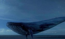 संपादकीयः जानलेवा खेल