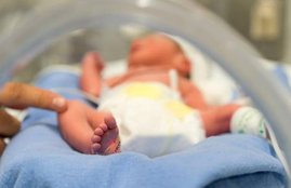 Early Term Babies, Full Term Babies, Pregnancy Complications, Risk Of Diabetese, Risk Of Obesity, Risks Of Pregnancy, New Born Babies Health, Pregnancy Health Tips, Lifestyle News In Hindi, Jansatta