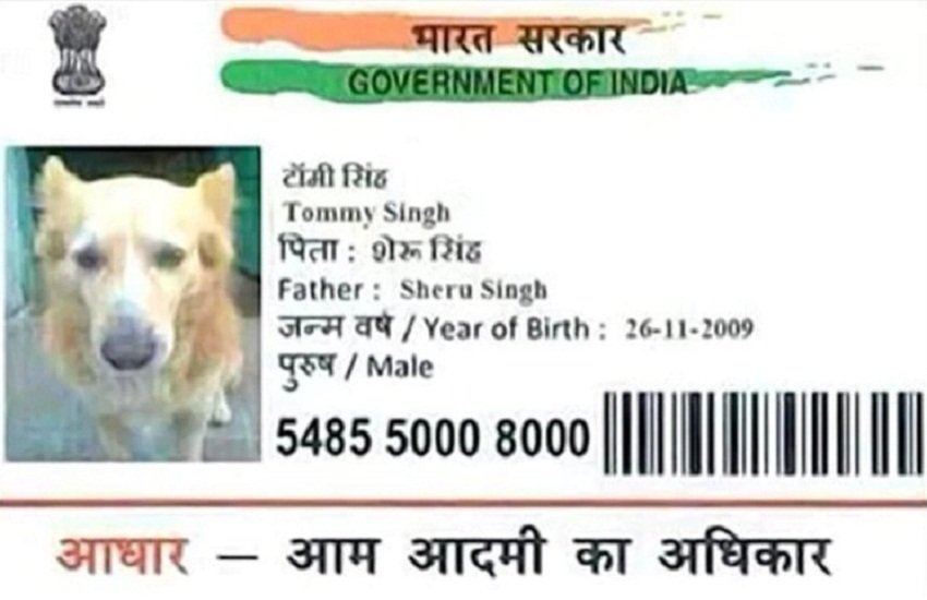 dog aadhaar