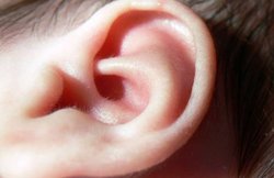 कान में हो रहा तेज दर्द, इस्तेमाल करें ये घरेलू नुस्खे, तुरंत मिलेगी राहत