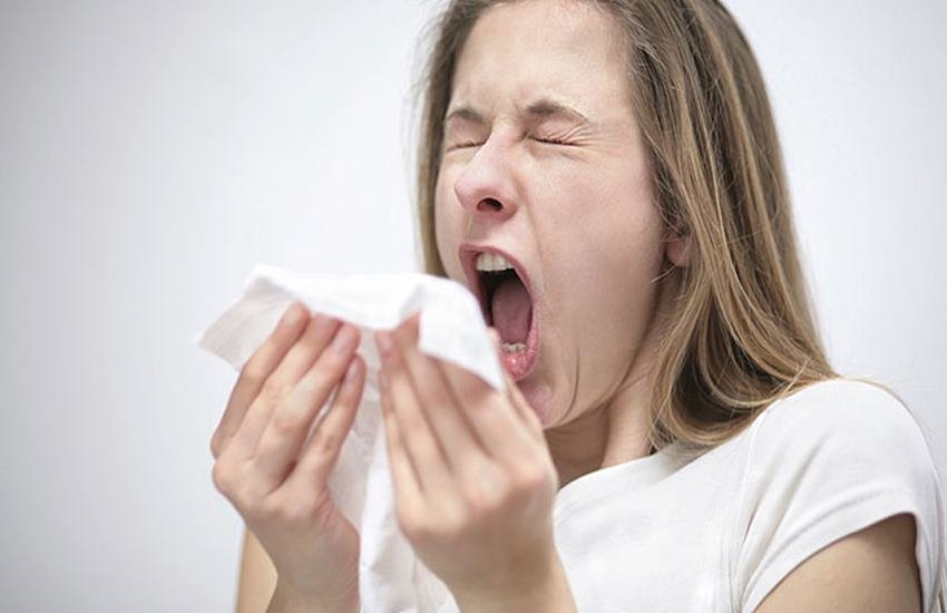 Sneezing, Sneezzing Solutions, Infection, Home Remedies, How to get rid of sneezing, Ginger, Tulsi, Black Cardamom, Amla, Citrus Fruits, Health News In Hindi, Jansatta