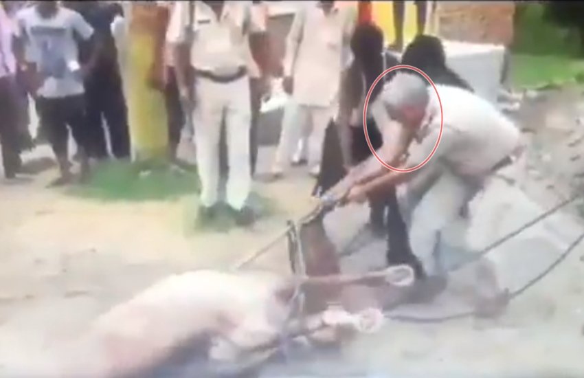 भीड़ की मदद करते हुए एक पुलिस कर्मी। (Source: Video Grab)